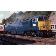 CLASS 52 Western (Dapol & Heljan)  